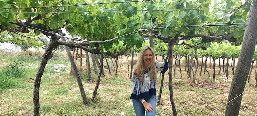 Foto mundo del vino