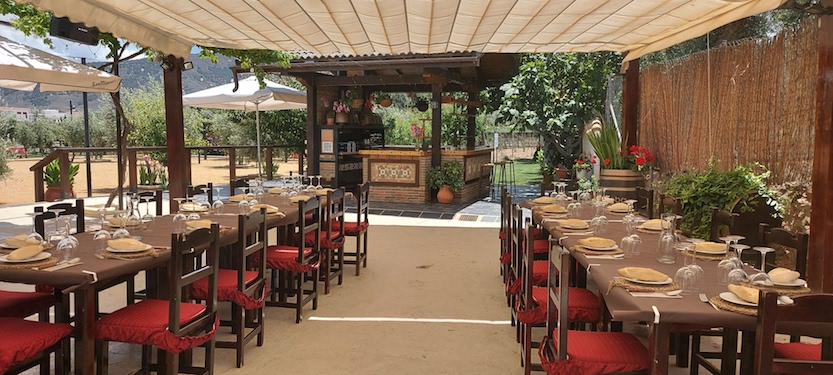 Foto mundo del vino