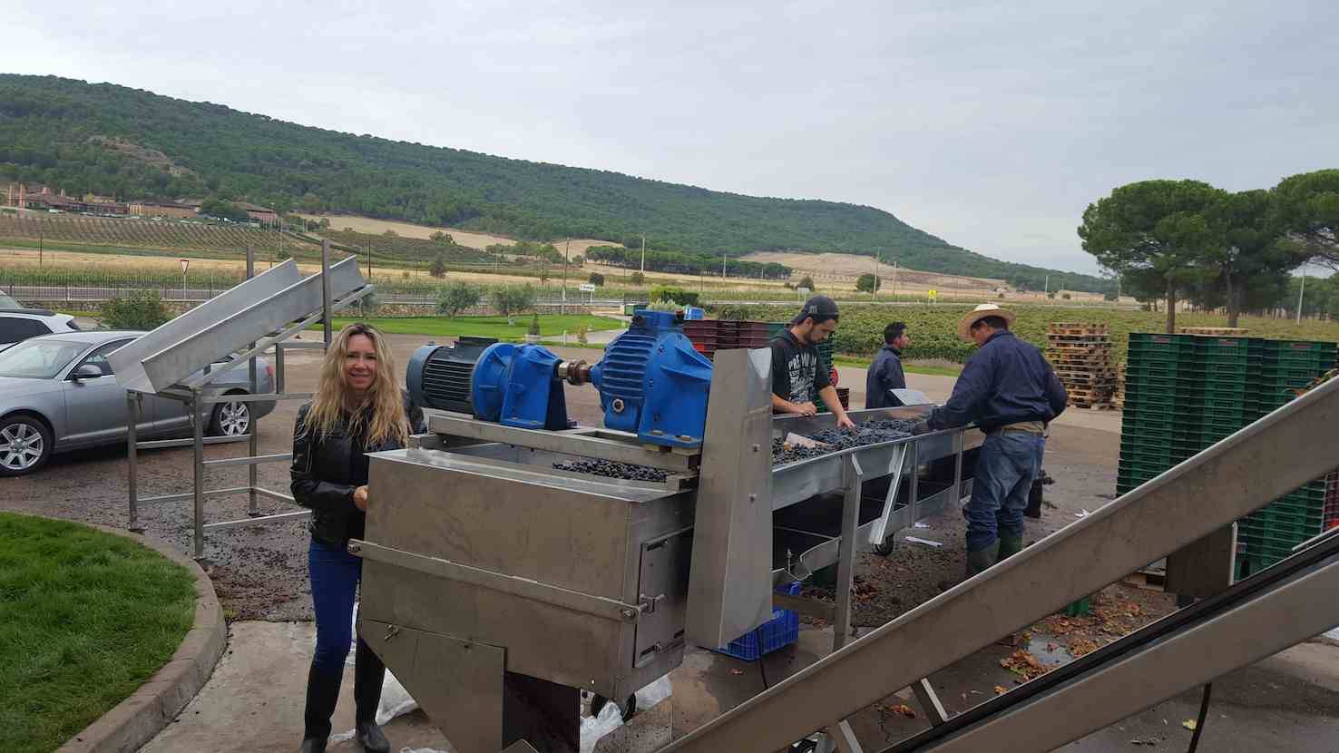 Foto mundo del vino
