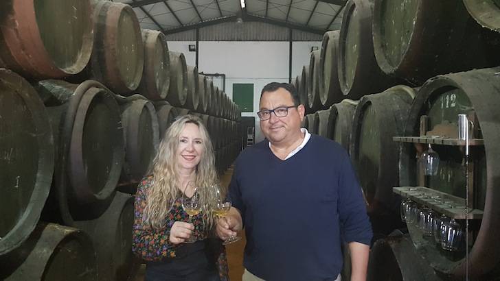Foto mundo del vino