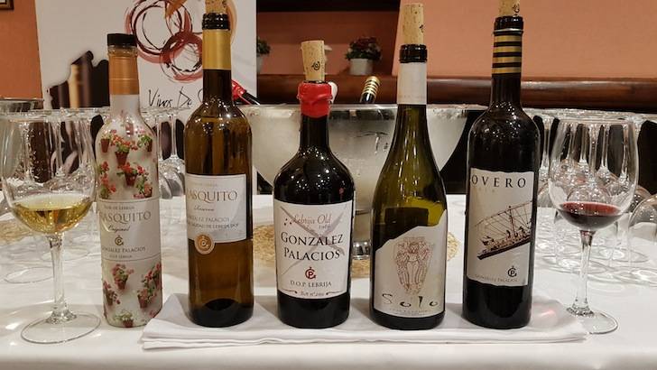 Foto mundo del vino