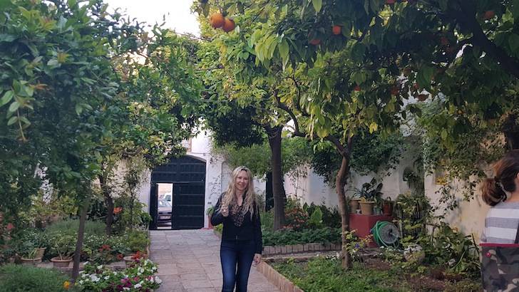 Foto mundo del vino