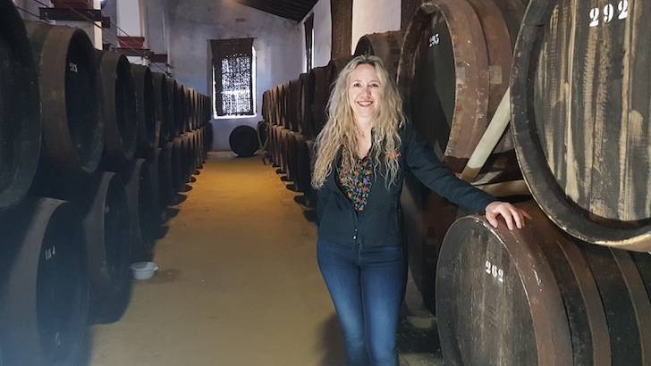 Foto mundo del vino