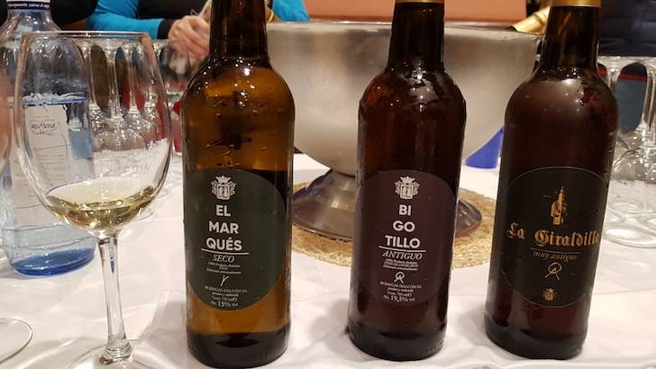 Foto mundo del vino