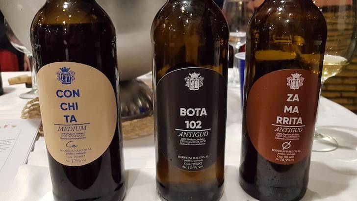 Foto mundo del vino