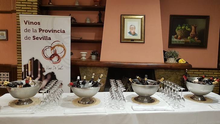 Foto mundo del vino