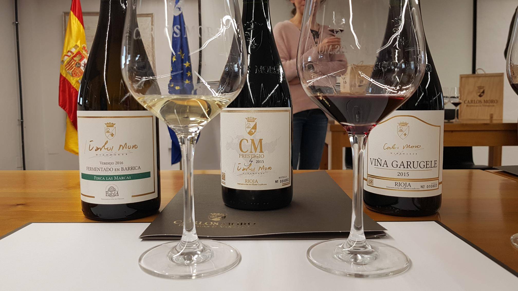 Foto mundo del vino