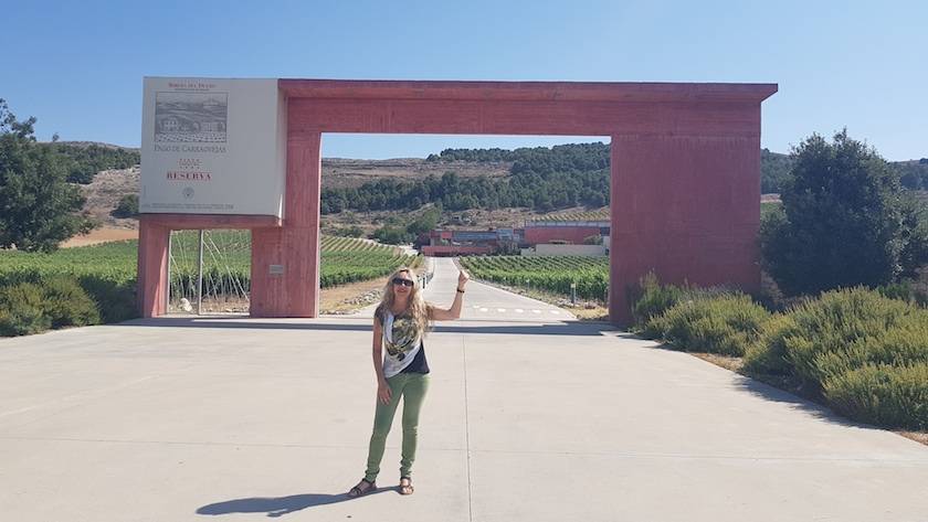 Foto mundo del vino