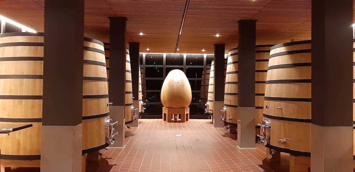 Foto mundo del vino