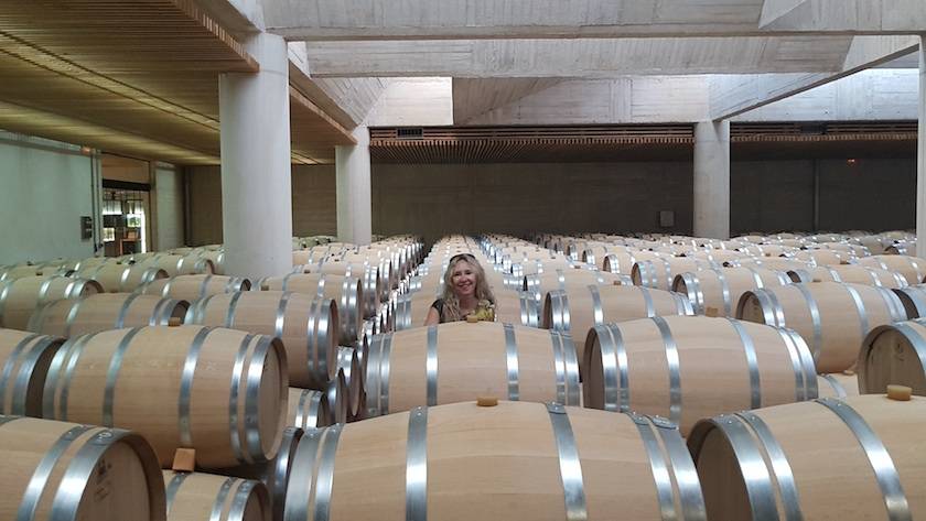 Foto mundo del vino