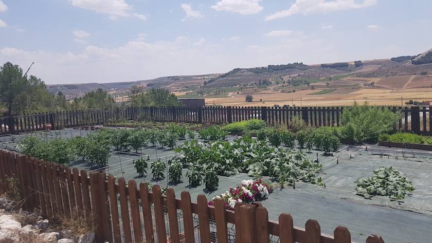 Foto mundo del vino