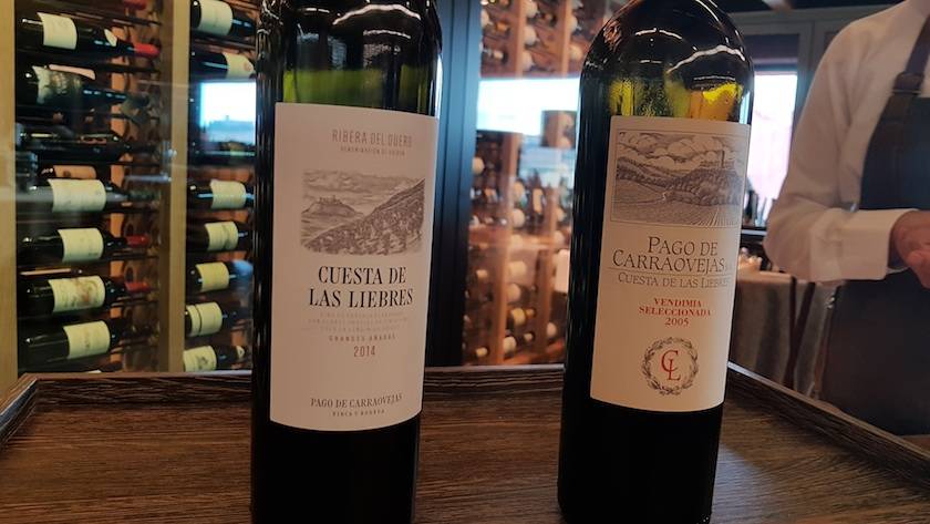 Foto mundo del vino