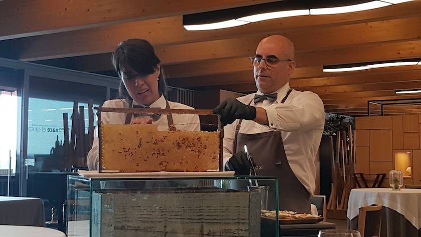 Foto mundo del vino