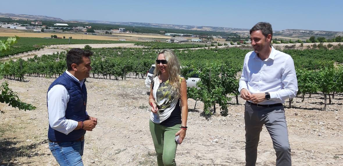 Foto mundo del vino
