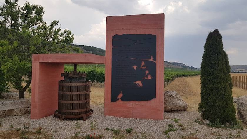 Foto mundo del vino