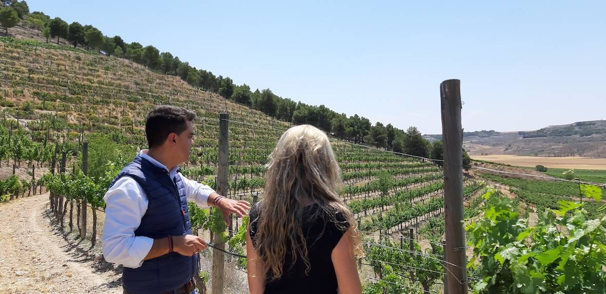 Foto mundo del vino