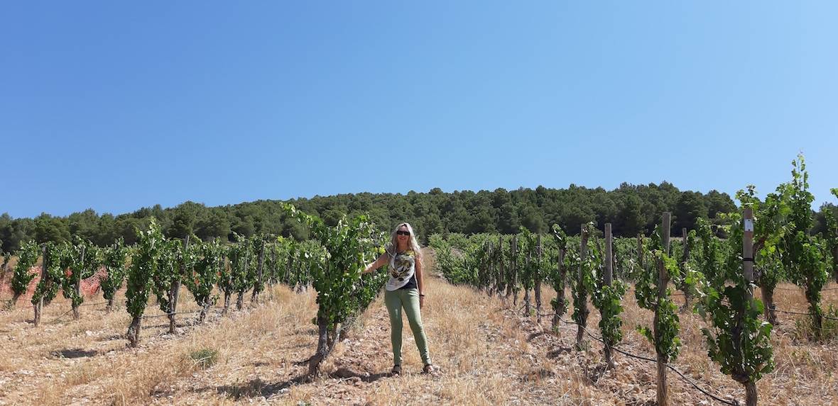 Foto mundo del vino