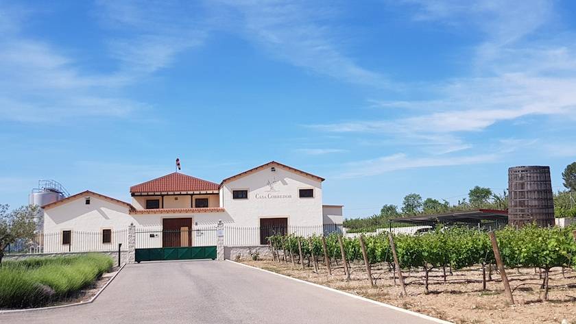 Foto mundo del vino