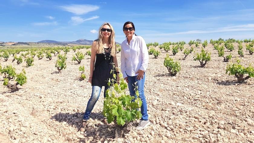 Foto mundo del vino