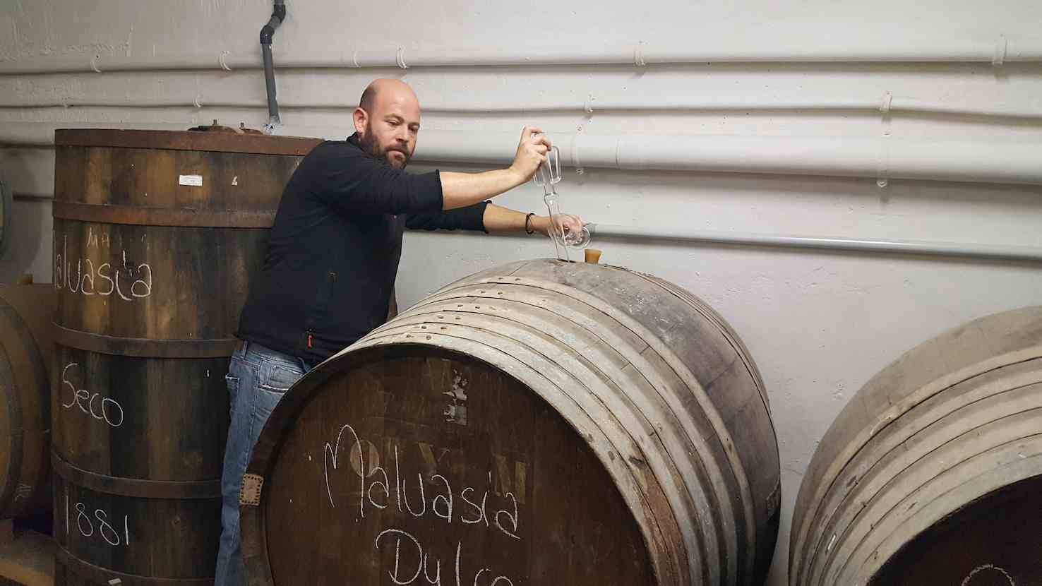 Foto mundo del vino