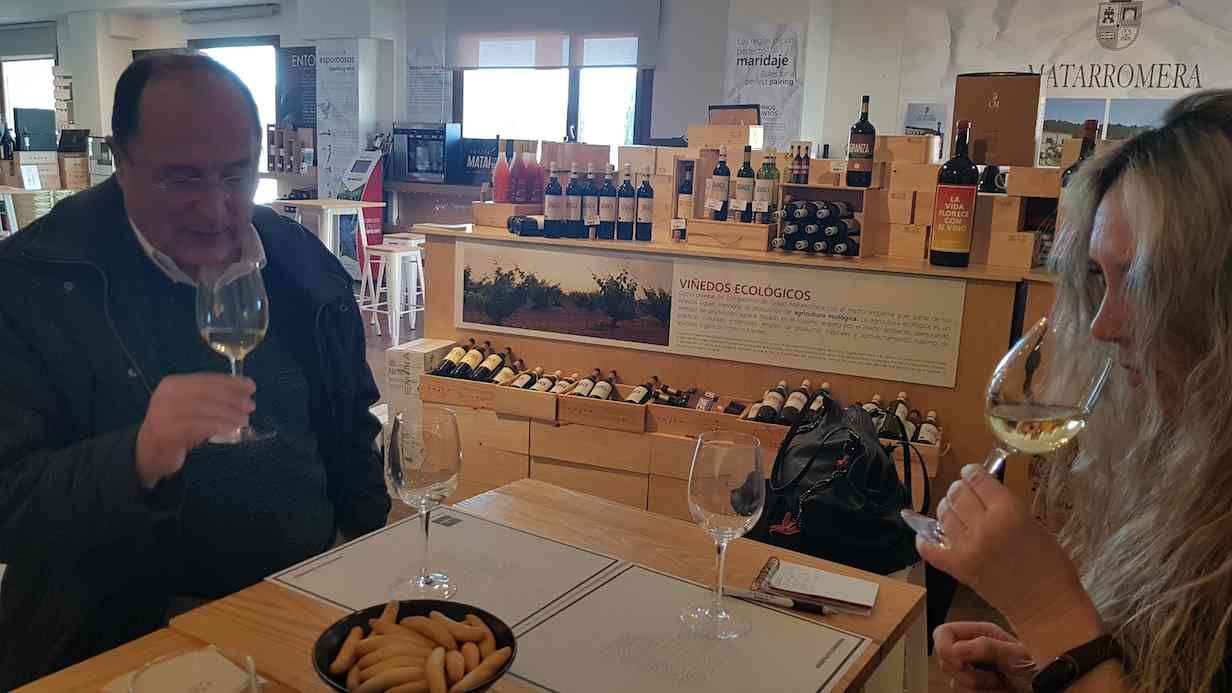 Foto mundo del vino