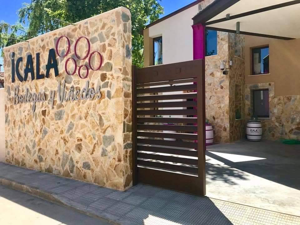 Foto mundo del vino