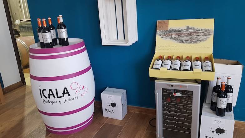 Foto mundo del vino