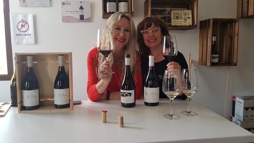 Foto mundo del vino
