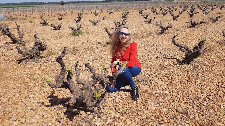 Foto mundo del vino