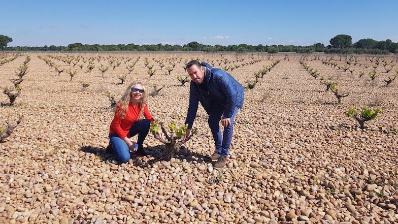 Foto mundo del vino
