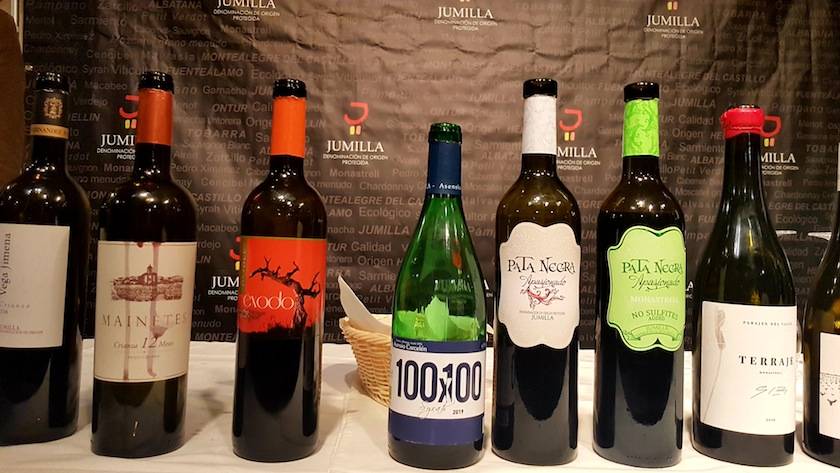 Foto mundo del vino