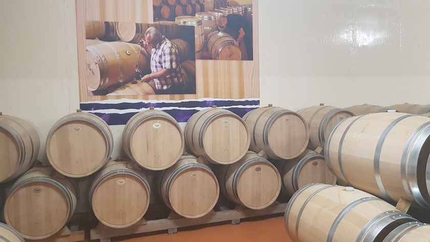 Foto mundo del vino