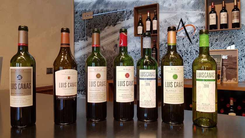 Foto mundo del vino