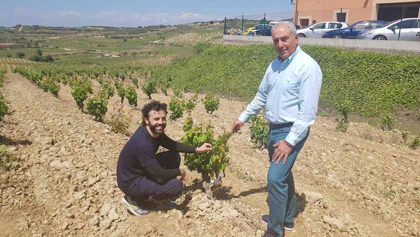 Foto mundo del vino