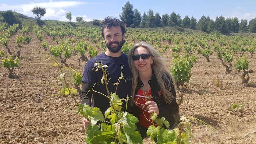 Foto mundo del vino
