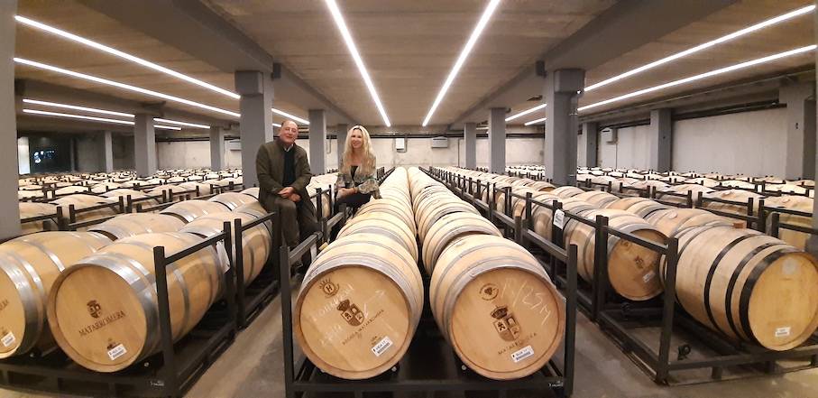 Foto mundo del vino