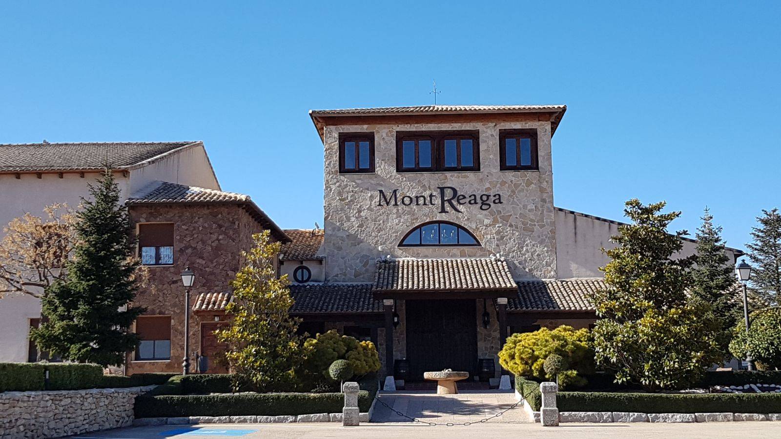 Foto mundo del vino