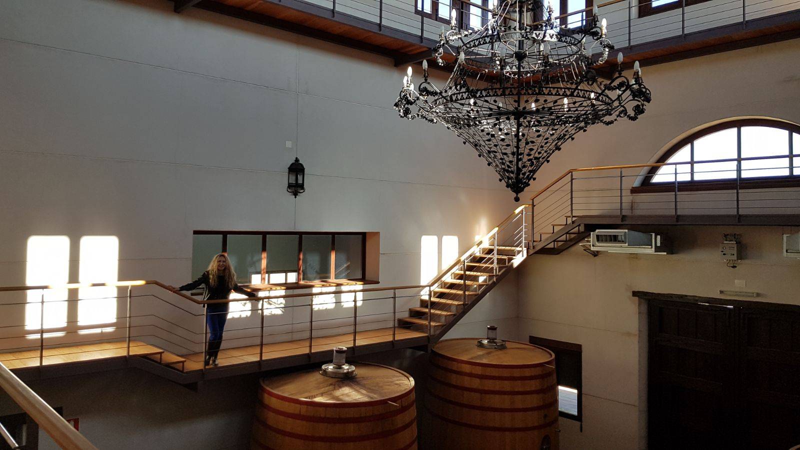 Foto mundo del vino