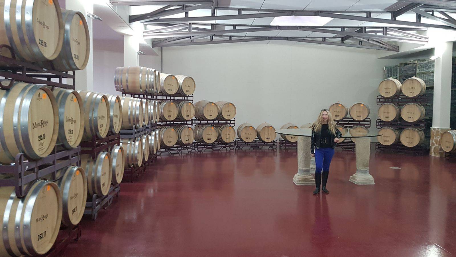 Foto mundo del vino