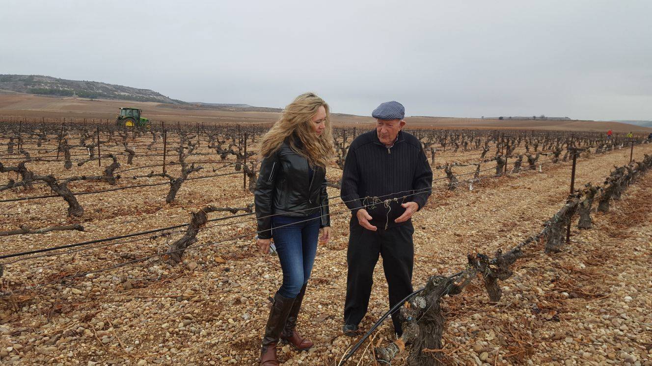 Foto mundo del vino