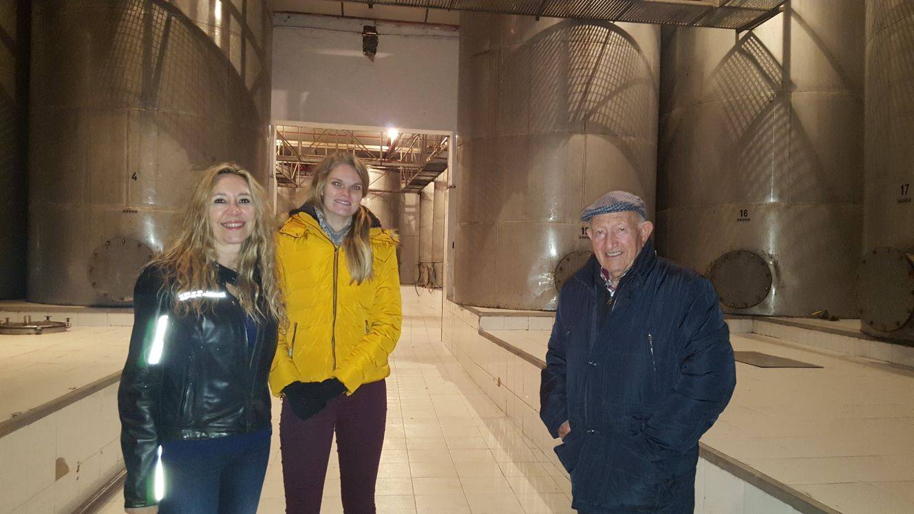 Foto mundo del vino