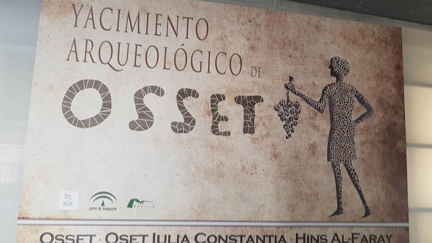 Foto mundo del vino