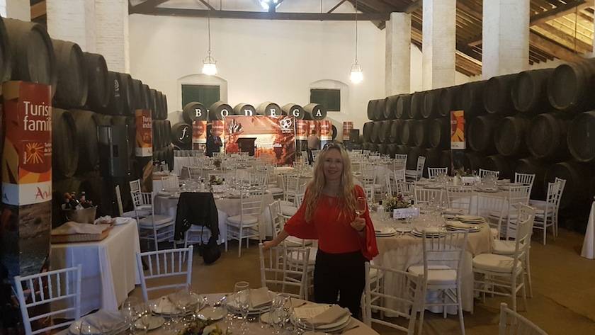 Foto mundo del vino