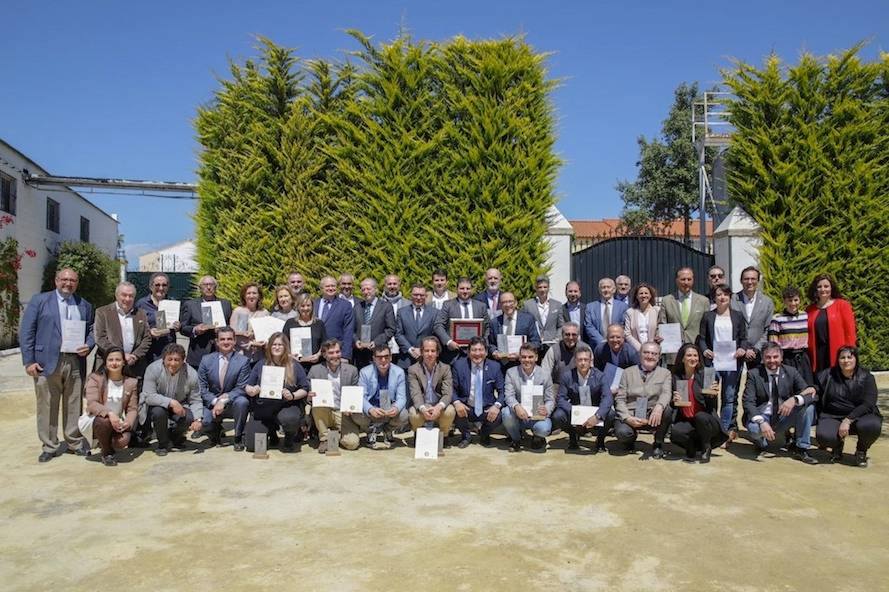 Foto mundo del vino