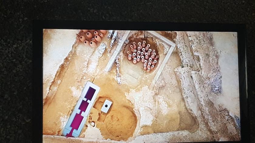Foto mundo del vino