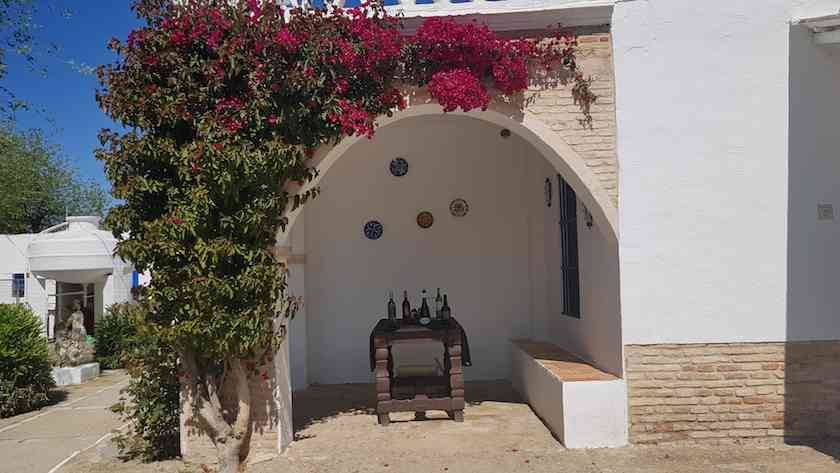 Foto mundo del vino