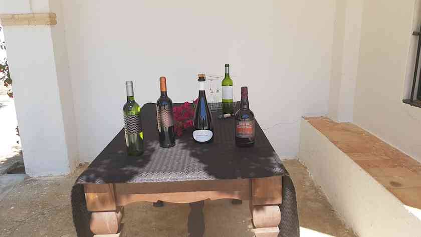 Foto mundo del vino