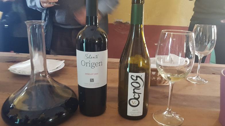 Foto mundo del vino