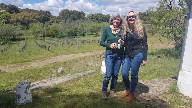 Foto mundo del vino