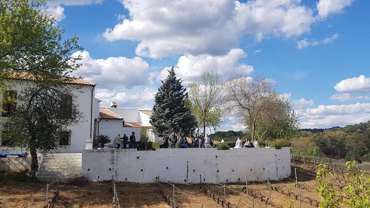 Foto mundo del vino